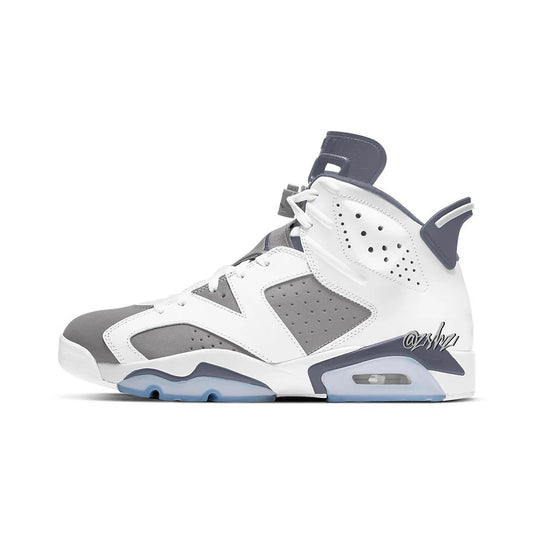 Air Jordan 6 "Cool Grey" 2023